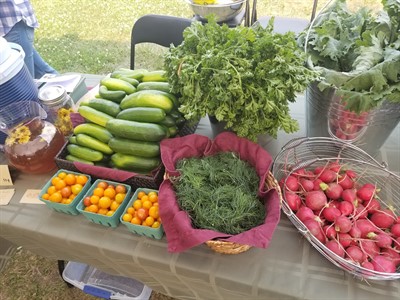 Treherne Farmers' Market