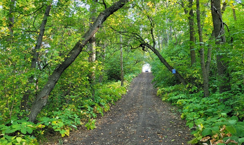 Tiger_Hills_Trail__1