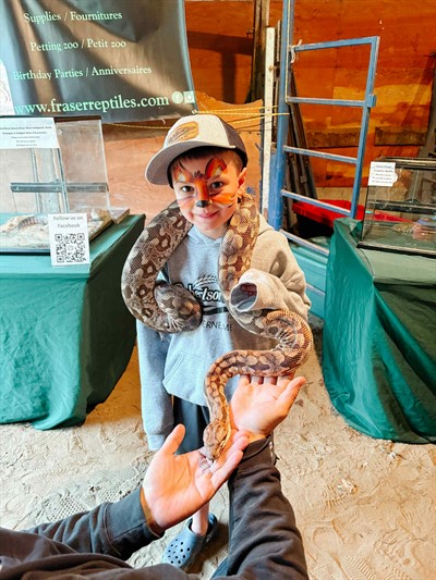 Treherne Fair